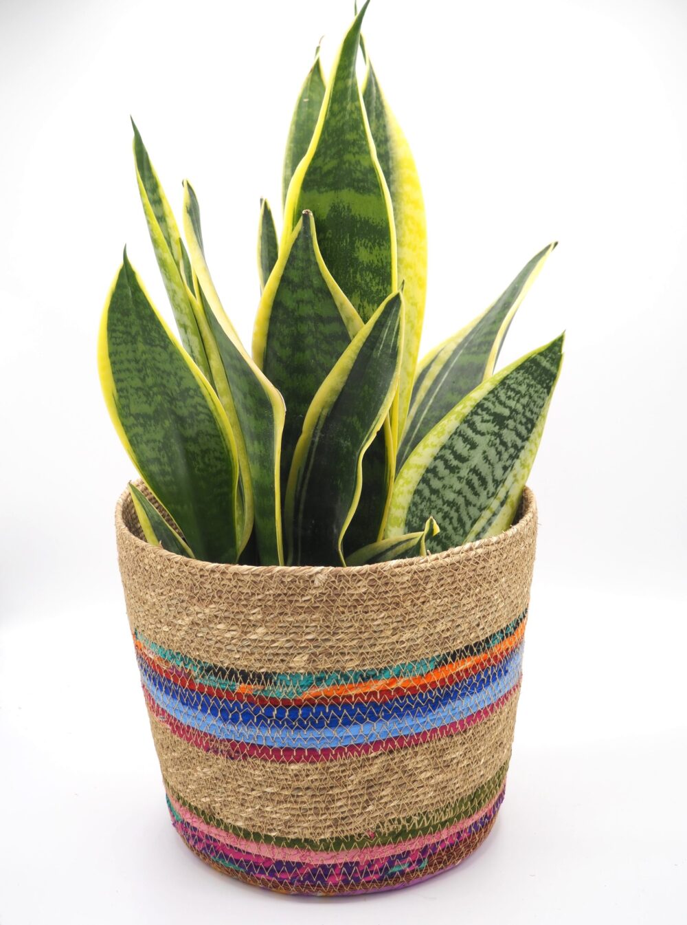 Munja And Reclaimed Fabric Eco Planter With Removable Metal Liner - Set Of 3 - Image 7