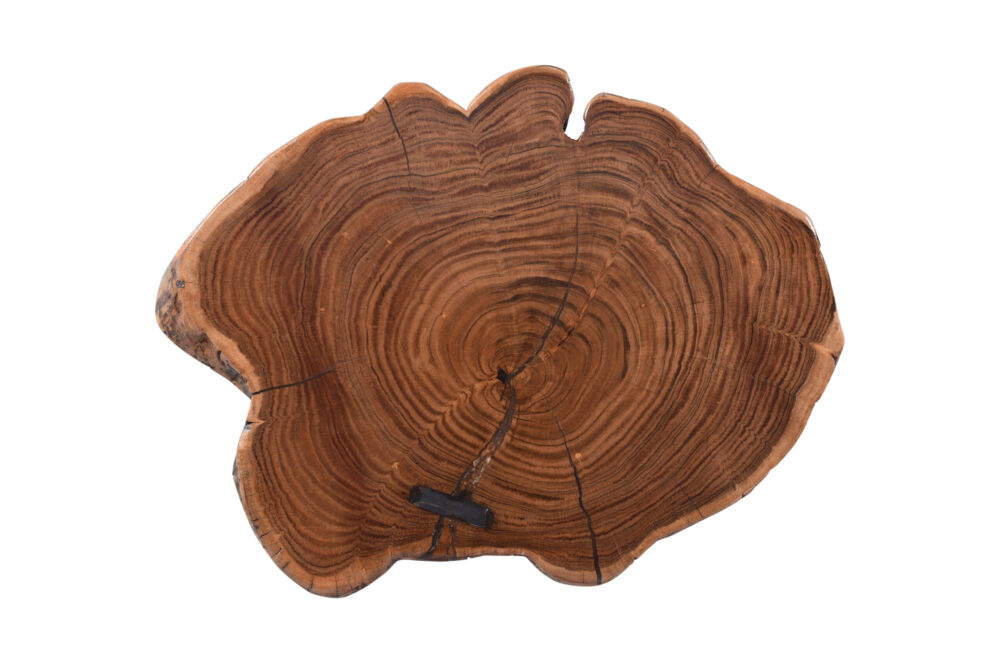 Fine Repurposed And Reclaimed Team Wood Tree Wedge Coffee Table From India - Image 3